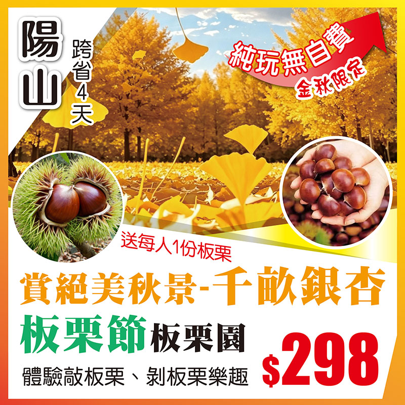 跨省巴士-純玩無自費-超高性價比-旅遊新玩法